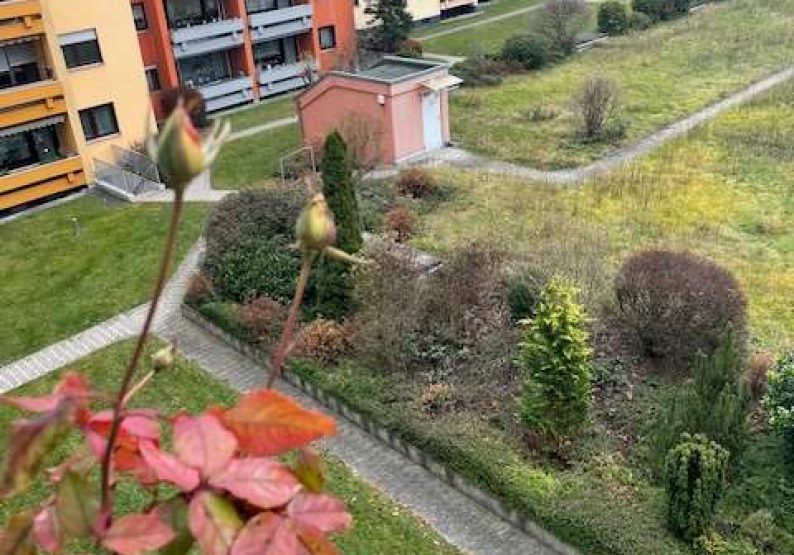 Blick vom Balkon